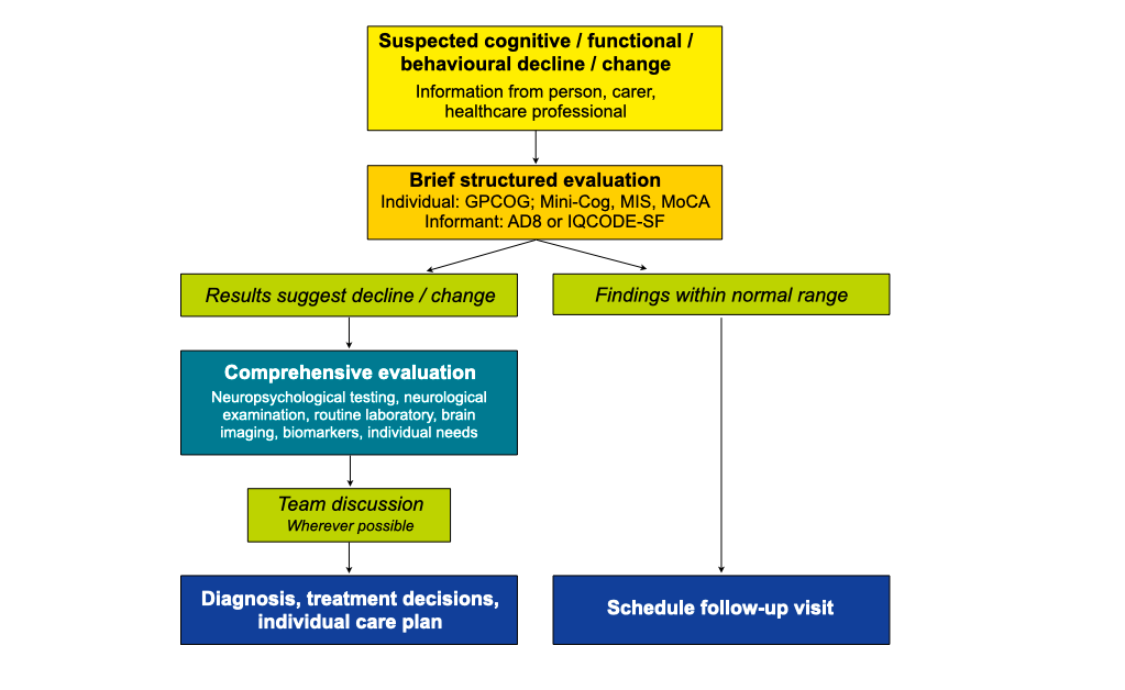 The process of dementia diagnosis: steps to a dementia diagnosis are illustrated as described in the text on this page