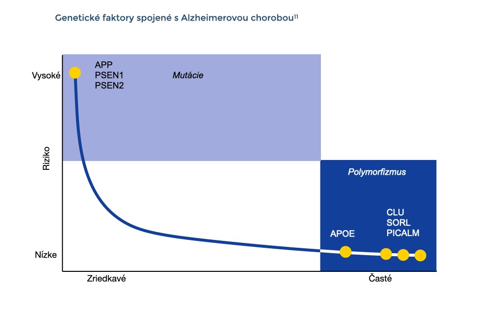 Táto schéma opisuje dve formy genetických faktorov Alzheimerovej choroby. Mutácie sú zriedkavé, ale sú spojené s vysokým rizikom ochorenia. Polymorfizmy sú bežné, ale jednotlivo zvyšujú riziko ochorenia len mierne.